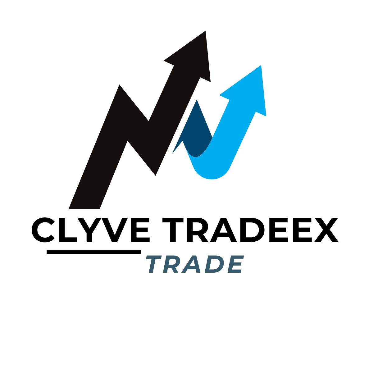 Clyve Tradeex Investment